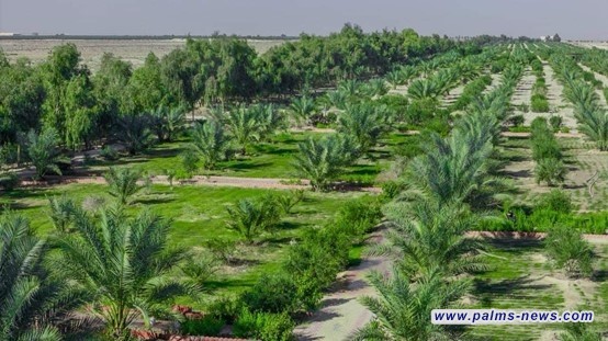 العراق يحصل على أكثر من 20 مليون دولار لدعم مشاريعه الخضراء